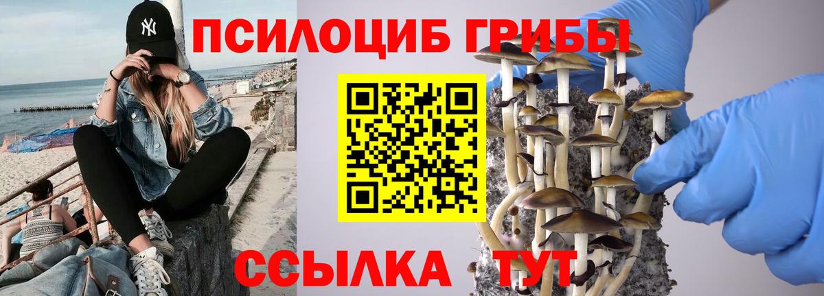 Псилоцибиновые грибы Cubensis  Вход с VPN  Красноуфимск 